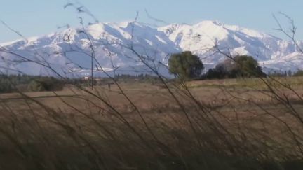 Réchauffement climatique : la Tramontane souffle moins dans le Roussillon (France 3)