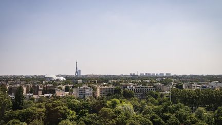 En France, environ 30 000 hectares de nature, soit presque trois fois la surface de Paris, disparaissent chaque année. (JACOPO LANDI / HANS LUCAS)