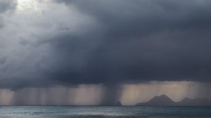 Image d'illustration d'une tempête tropicale, le 7 juin 2018, en Martinique. (MATTEO COLOMBO / MOMENT RF / AFP)