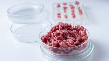 Viande de substitution fabriquée en laboratoire. (CRISTINA PEDRAZZINI / SCIENCE PHOT / CPD / AFP)