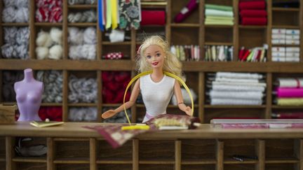 Une poup&eacute;e Barbie expos&eacute;e dans un mus&eacute;e &agrave;&nbsp;Ilsede (Allemagne), le 30 septembre 2014. (OLE SPATA / DPA)