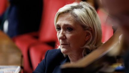 La leader d'extrême droite Marine Le Pen à l'Assemblée à Paris, le 12 novembre 2024. (IAN LANGSDON / AFP)