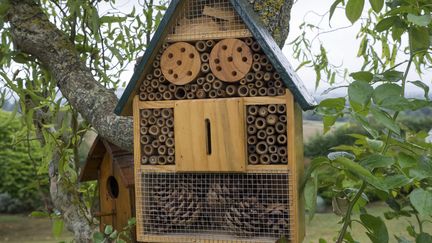 Pour attirer les insectes utiles au jardin, les abris conçus pour les héberger peuvent être installés dans les jardins, sur les balcons. (CHRISTIAN WATIER / MAXPPP)