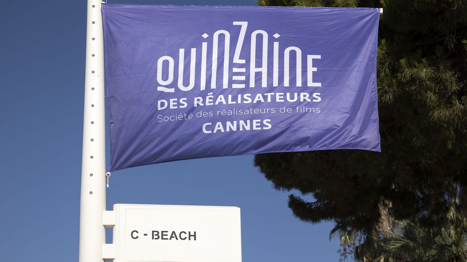 Festival De Cannes : La Quinzaine Des Réalisateurs Est Rebaptisée ...