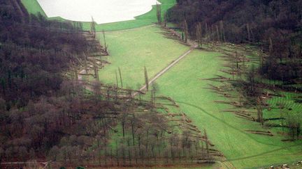  (Les arbres déracinés du château de Versailles après la tempête © MAXPPP)