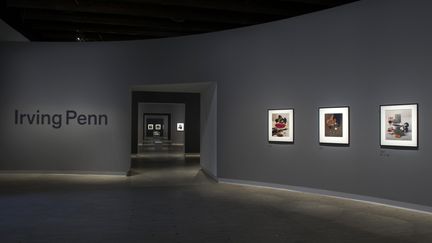 Le Grand Palais, à Paris, consacre une somptueuse rétrospective&nbsp;au maître américain de la photographie Irving Penn. (GRAND PALAIS)