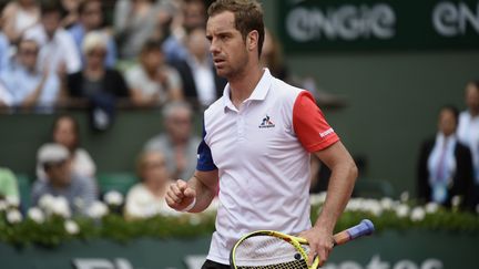 Richard Gasquet  (JMH / DPPI MEDIA)