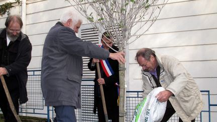 Romain Colas, maire PS de Boussy-Saint-Antoine,&nbsp;et des repr&eacute;sentants du Grand Orient de France plantent,&nbsp;le 10 d&eacute;cembre 2011, un "arbre de la la&iuml;cit&eacute;", vandalis&eacute; en janvier 2014. (MAXPPP)