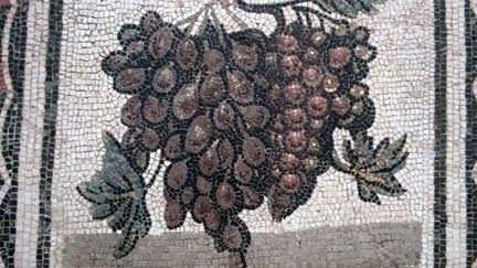 Représentation de grappes de raisin sur une mosaïque romaine
 (France Télévisions - Laurent Ribadeau Dumas)