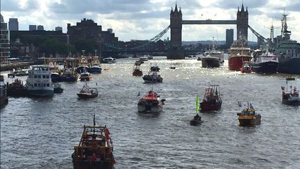  (A huit jours du référendum sur l'Union européenne, une flottille de pêcheurs britanniques pro-Brexit a remonté mercredi la Tamise © Radio France / Franck Mathevon)