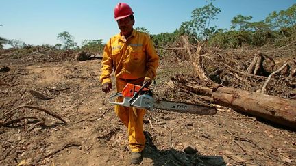 Pourtant, une partie de la communauté indienne n’hésite pas à s’opposer à lui le jour où il décide en 2011 de construire une route de 306 km entre Villa Tunari et San Ignacio de Moxos, reliant les départements de Cochabamba (centre) et Beni (nord). 

Le chantier est ouvert en juin 2011. (REUTERS/David Mercado)