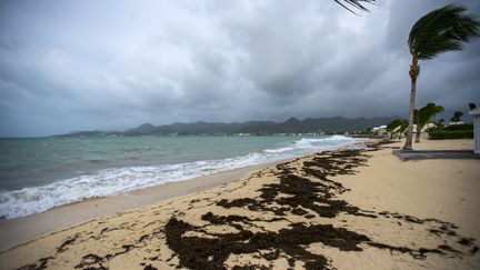 L'île de Saint-Martin a été violemment touché par l'ouragan Irma. (LIONEL CHAMOISEAU / AFP)