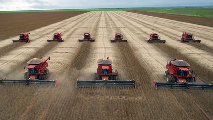 Récolté du soja à Campo Novo du Parecis au Brésil. (YASUYOSHI CHIBA / AFP)