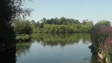 Hortillonnages d'Amiens : le succès des circuits courts