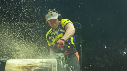 Toulouse : la Coupe du monde des Bûcherons pour la première fois en France