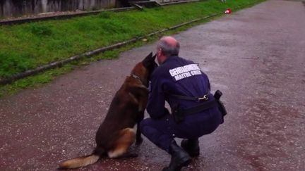 Alertes à la bombe : le travail épuisant des chiens détecteurs d'explosifs (France 2)