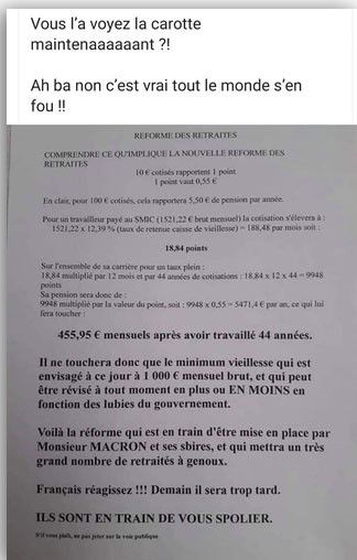 D'après ce tract partagé des milliers de fois sur Facebook la réforme des retraites "mettra un très grand nombre de retraités à genoux" (RADIO FRANCE / CAPTURE D'ÉCRAN)