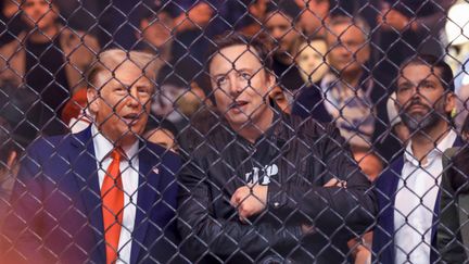 Donald Trump, Elon Musk et Donald Trump Jr. assistent à un combat lors de l'UFC 309 au Madison Square Garden à New York, le 16 novembre 2024. (Kena Betancur / AFP)