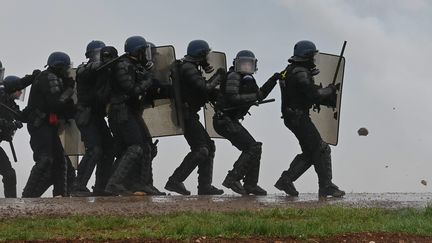 Des gendarmes lors de la manifestation à Sainte-Soline (Deux-Sèvres), le 26 mars 2023. (FRANCK DUBRAY / MAXPPP)