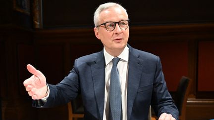 L'ancien ministre de l'Economie, Bruno Le Maire, auditionné au Sénat, le 7 novembre 2024. (BERTRAND GUAY / AFP)