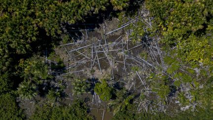 Vue aérienne d'une zone déforestée dans la municipalité de Melgaco au Brésil le 30 juillet 2020. (TARSO SARRAF / AFP)