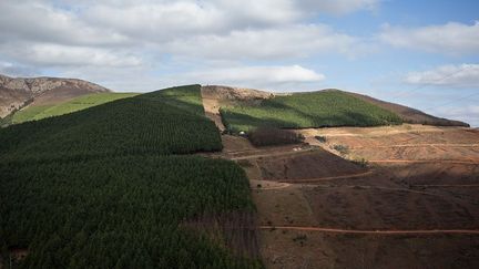 il y a de multiples modes d’utilisation des sols et régimes de propriété ainsi qu’une mosaïque complexe incluant des crêtes rocheuses dénudées, de petites exploitations agricoles de subsistance, des plantations forestières gérées, des stations touristiques et de petites communautés isolées. Le régime de propriété est également complexe et comprend des aires protégées gérées par l’Agence du tourisme et des parcs du Mpumalanga, des entreprises privées qui gèrent les plantations de bois, des propriétaires privés et des terres communales avec quelques logements simples», ajoute l’Unesco.
 (Wikus de Wet / AFP)