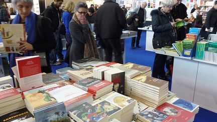 Square "Tourisme, voyage et récits d'aventure" au Salon du Livre
 (Laurence Houot / Culturebox)