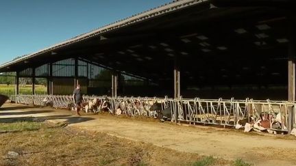 Haute-Vienne : l’eldorado des agriculteurs britanniques