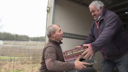 Agriculture : des exploitants proches de la retraite peinent à trouver des repreneurs