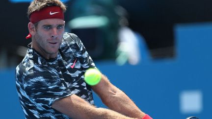 Juan-Martin Del Potro (Sydney 2015) (CRAIG GOLDING / AFP)