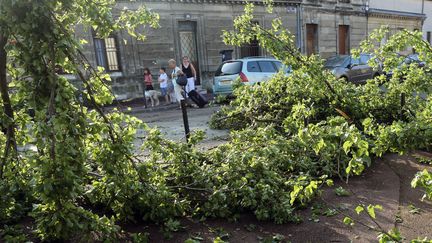 Des arbres sont tomb&eacute;s sur la route &agrave; Bordeaux (Gironde), le 27 juillet 2013. (NICOLAS TUCAT / AFP)