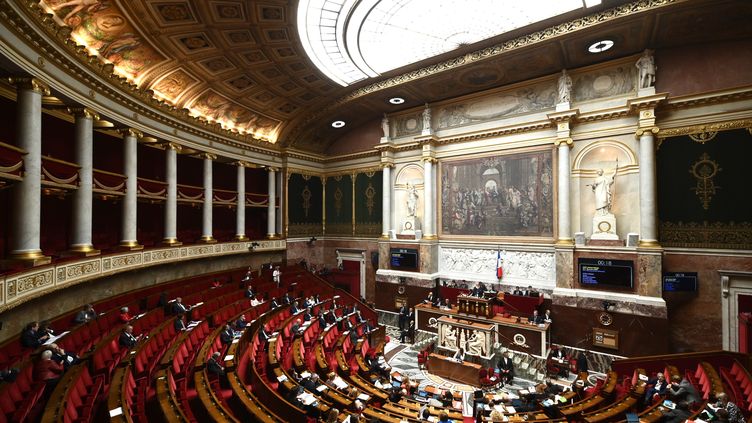 Loi De Bioéthique : L'Assemblée Nationale Vote L'ouverture De La PMA à ...