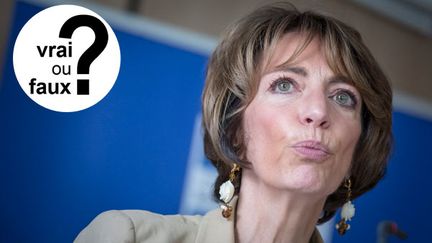 &nbsp; (Marisol Touraine affirme que certains pays interdisent la cigarette électronique © Maxppp)