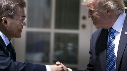 Le président sud-coréen, Moon Jae-in, et le président américain, Donald Trump, le 30 juin 2017.&nbsp; (BRENDAN SMIALOWSKI / AFP)