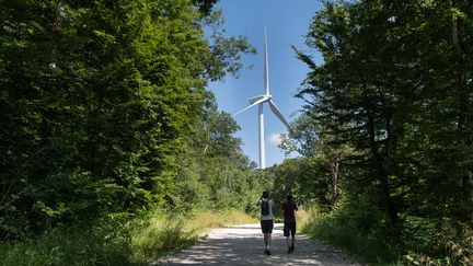 Une éolienne à Lomont (Haute-Saône), le 29 juillet 2021. (CELIA CONSOLINI / HANS LUCAS / AFP)