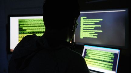 Un homme s'apprète à pénétrer à l'intérieur de programmes informatiques. Photo d'illustration. (ANNETTE RIEDL / DPA)