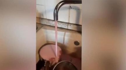 Capture d'écran d'une vidéo montrant du lambrusco coulant d'un robinet, le 4 mars 2020, à Castelvetro (Italie). (MONDENA GAZZETTA)