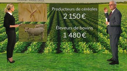 Colère des agriculteurs : combien gagnent-ils par mois ? (France 2)