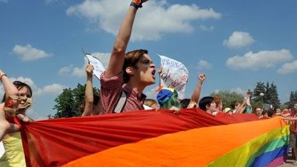 Des militants ont tenté d'organiser une gay-pride à Saint Pétersbourg, le 29 juin 2013. (OLGA MALTSEVA / AFP)