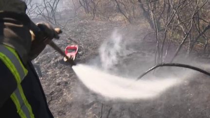 Incendies dans le Morbihan : des centaines d’hectares ravagés par les flammes