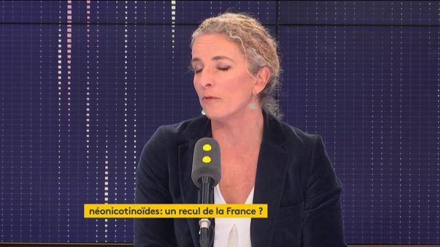 Nouveau néonicotinoïde : "il semble plus facile de protéger les grandes fortunes que les abeilles ou la santé humaine" - D. Batho