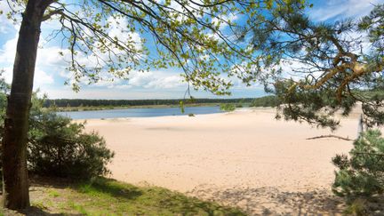 Le Sahara de Lommel. (image de l'office de tourisme de Lommel).&nbsp; (OFFICE DE TOURISME DE LOMMEL)