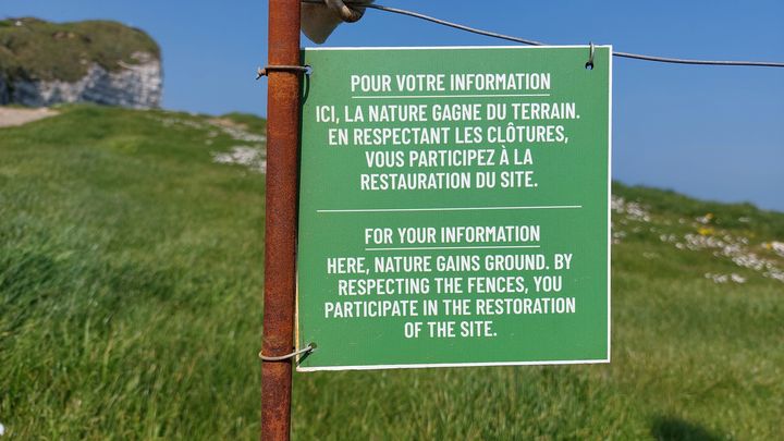 Une clôture en métal reliée par des fils de fer vient d'être installée, à Étretat. (VALENTIN DUNATE / RADIO FRANCE)