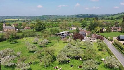 Dans le cadre de la rubrique "Le 13 Heures&nbsp;en week-end", le 13 Heures part, vendredi 29 avril, à la découverte du Pays d'Auge, en Normandie, sur la route du cidre. (CAPTURE ECRAN FRANCE 2)