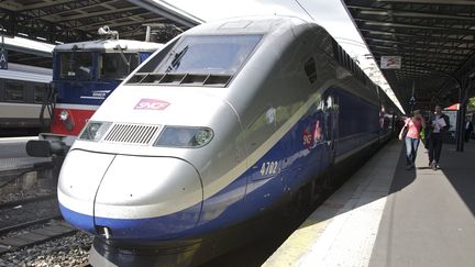 Un TGV en gare de Bezannes (Marne), le 30 mai 2011. (MAXPPP)