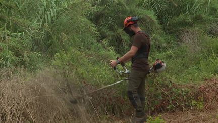 Incendies : l’importance du débroussaillement pour prévenir les risques