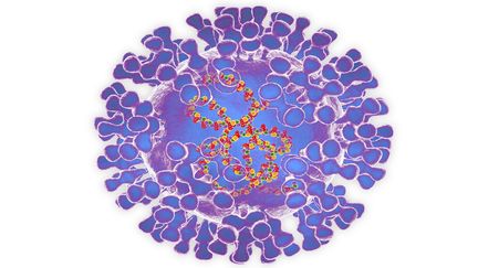 Le virus de la variole, maladie éradiquée dans les années 1970. (ROGER HARRIS/SCIENCE PHOTO LIBRA / RHR)