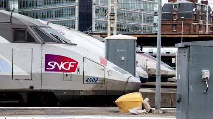 Des TGV à la gare de Lyon, le 13 mars 2018, à Paris.&nbsp; (DAVID SEYER / CROWDSPARK / AFP)