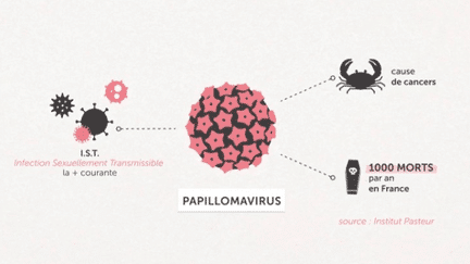 Santé : lancement d’une campagne de vaccination contre le papillomavirus (franceinfo)