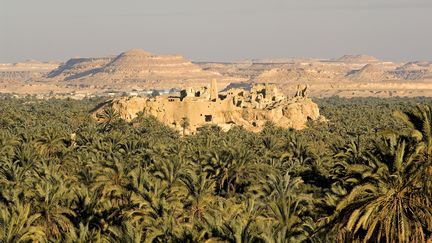 Au milieu de l'oasis de Siwa, les ruines ocres rouges de la cité berbère de Shali émergent du vert des palmiers. De nombreux organismes, dont l'UE, financent le sauvetage du lieu en favorisant le respect des méthodes de construction traditionnelles. (MATTES RENE / HEMIS.FR / AFP)